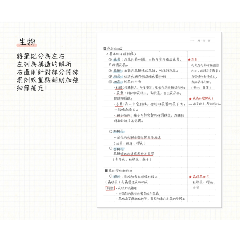 PLUS B5 橫線筆記本 30頁
